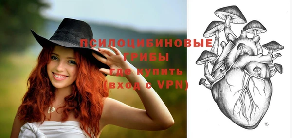 эйфоретик Верея