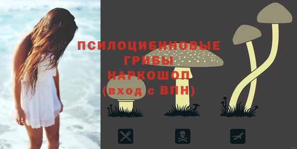 ECSTASY Верхний Тагил